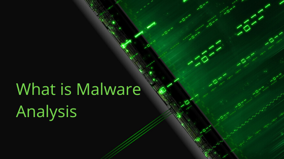 What is Malware Analysis
